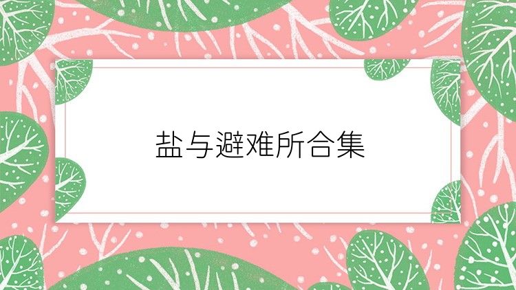 盐与避难所合集