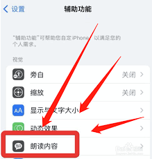 iPhone如何开启文本与图像旁白声音