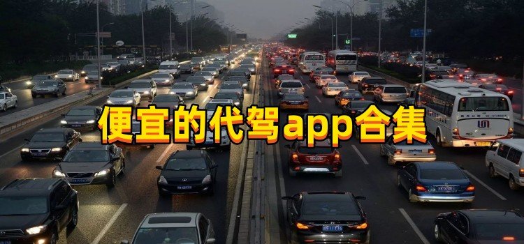 便宜的代驾app