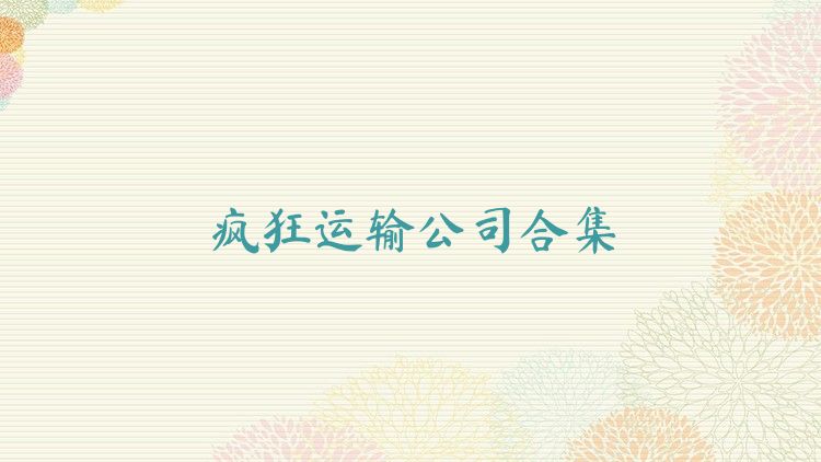 疯狂运输公司合集