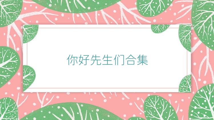 你好先生们合集