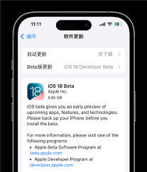 ios18蜂窝网络如何升级