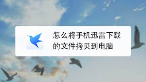 手机迅雷下载的文件如何转移到电脑上