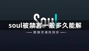 soul违禁说话多久解封