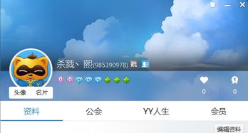 yy如何快速升级技巧