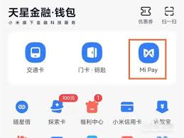 拼多多如何使用mipay支付