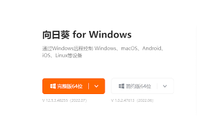 向日葵远程控制无法连接