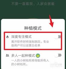 forest怎么开启深度专注模式