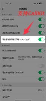 如何开启微信CallKit功能