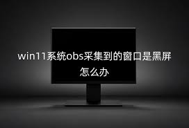 Win11系统中使用OBS进行窗口采集时遇到黑屏问题怎么办