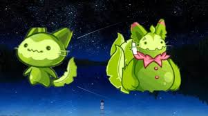 洛克王国魔力猫如何进化