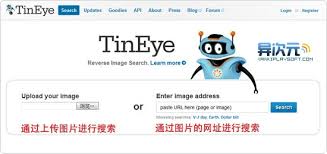 如何使用TinEye图片搜索功能
