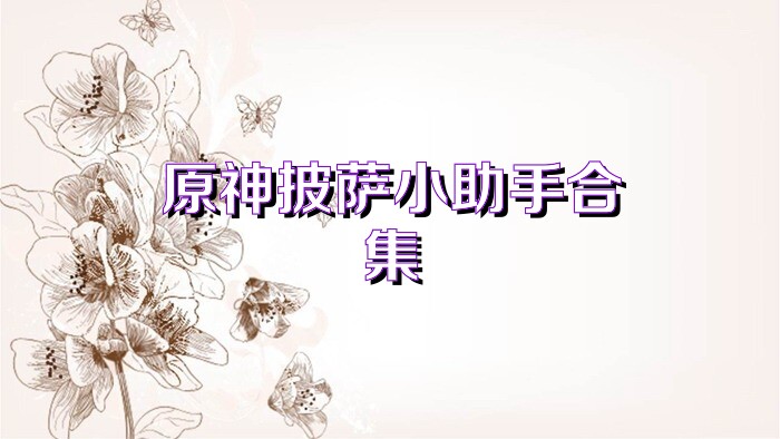 原神披萨小助手合集