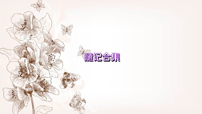 随记合集