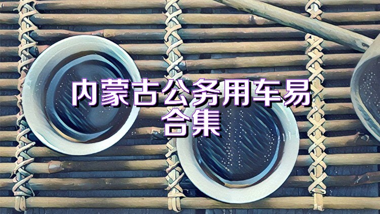 内蒙古公务用车易合集