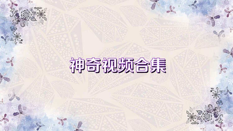 神奇视频合集