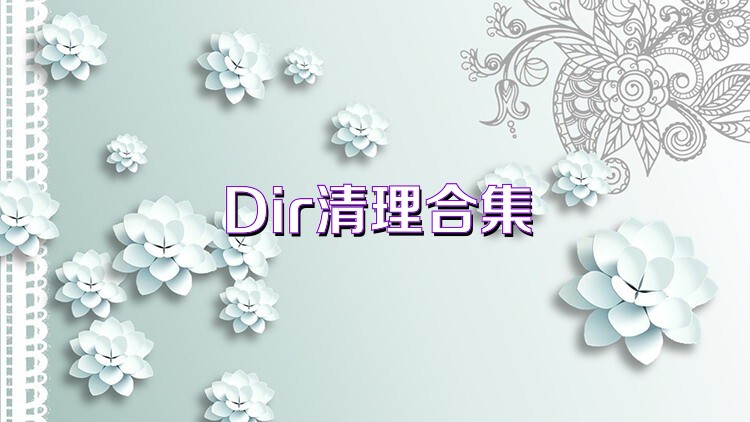 Dir清理合集