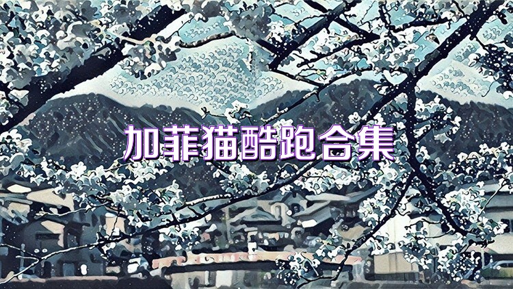 加菲猫酷跑合集