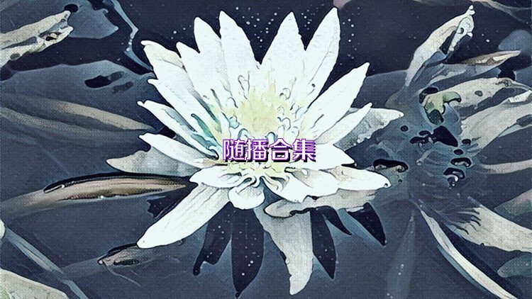 随播合集
