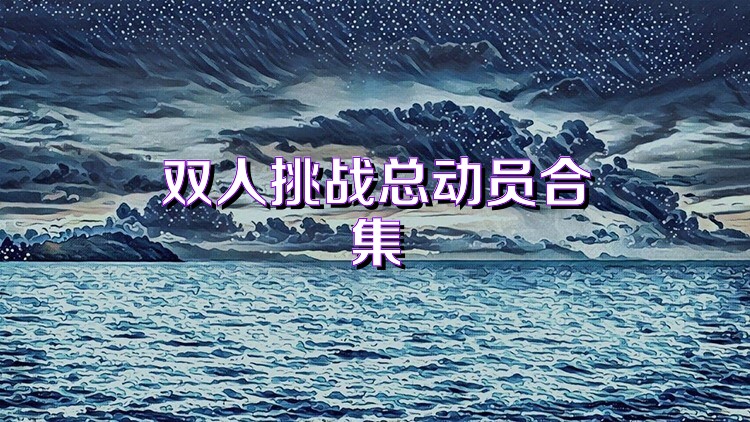 双人挑战总动员合集