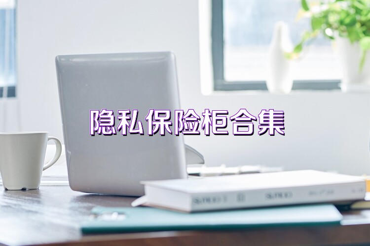 隐私保险柜合集
