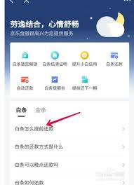 京东白条如何一次性还款