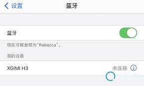 极米H3是否具备蓝牙功能