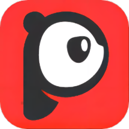 pdf大师