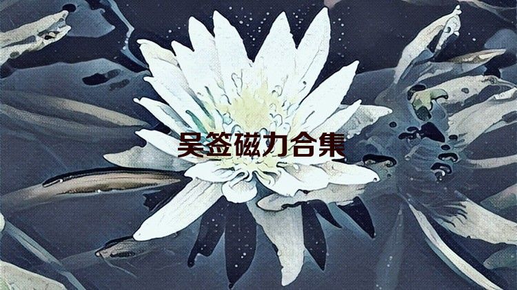 吴签磁力合集