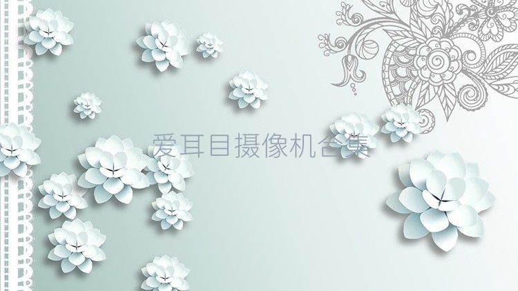 爱耳目摄像机合集