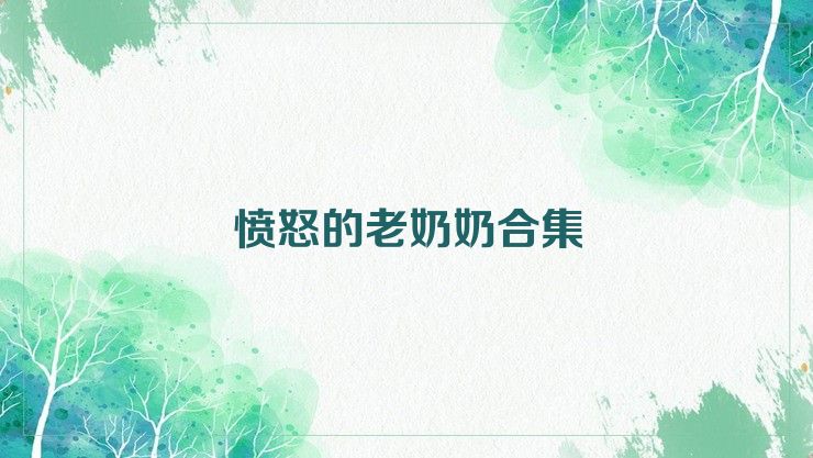 愤怒的老奶奶合集