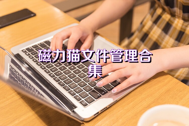磁力猫文件管理合集