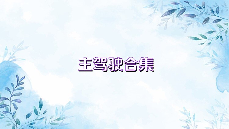 主驾驶合集