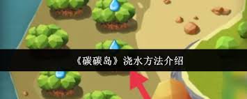 碳碳岛如何进行浇水操作