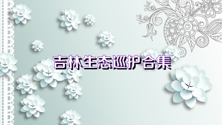 吉林生态巡护合集
