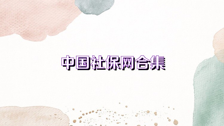 中国社保网合集