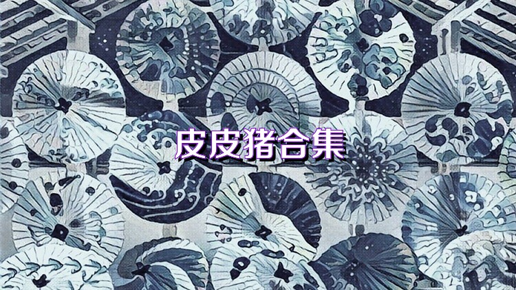 皮皮猪合集
