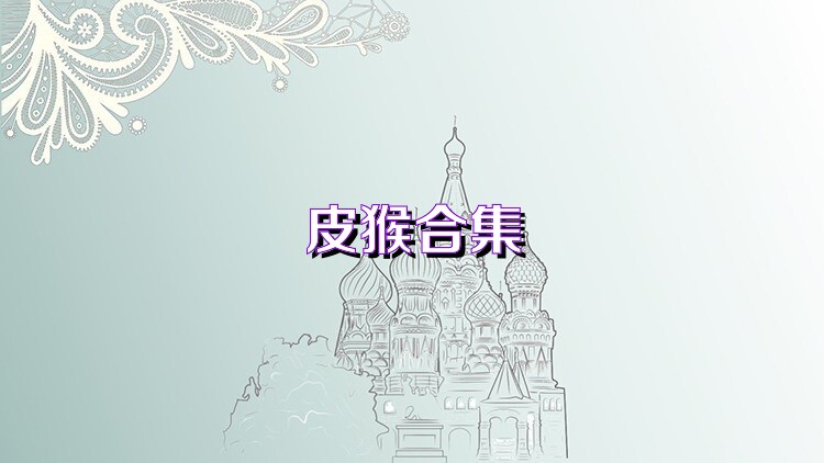 皮猴合集