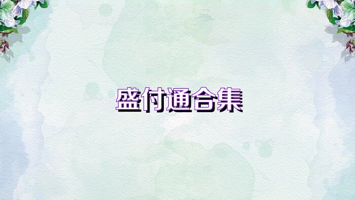 盛付通合集