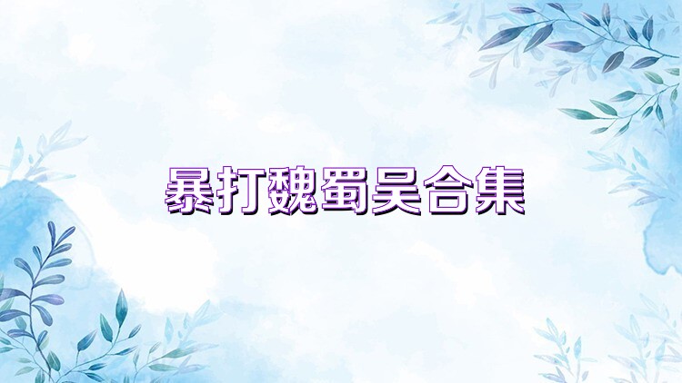 暴打魏蜀吴合集