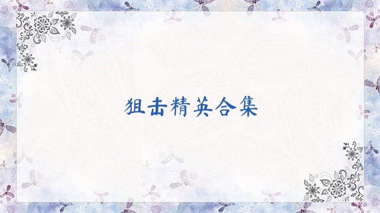 狙击精英合集