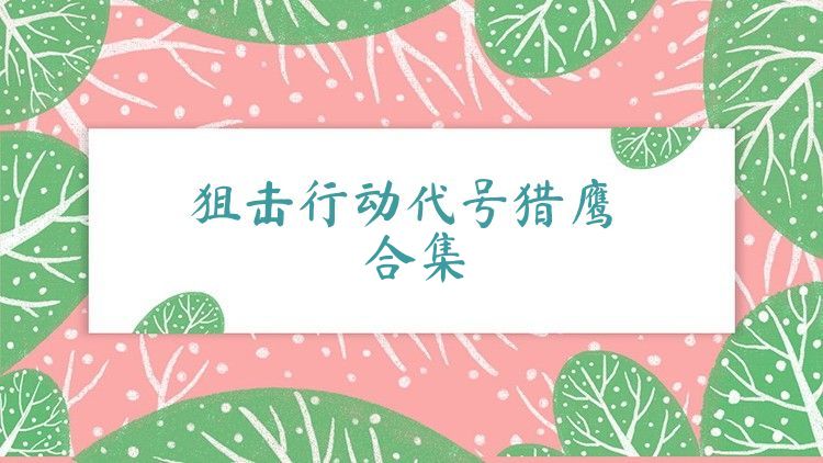 狙击行动代号猎鹰合集