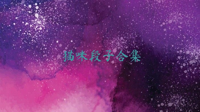 猫咪段子合集