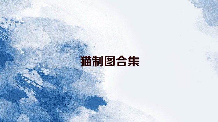猫制图合集