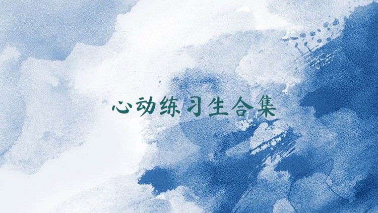 心动练习生合集