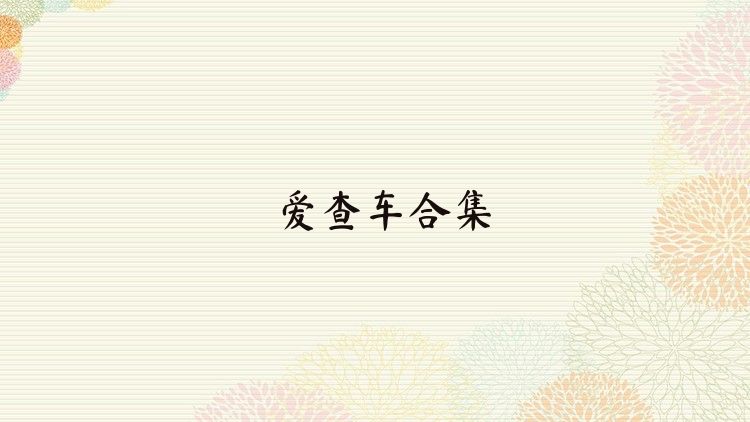 爱查车合集