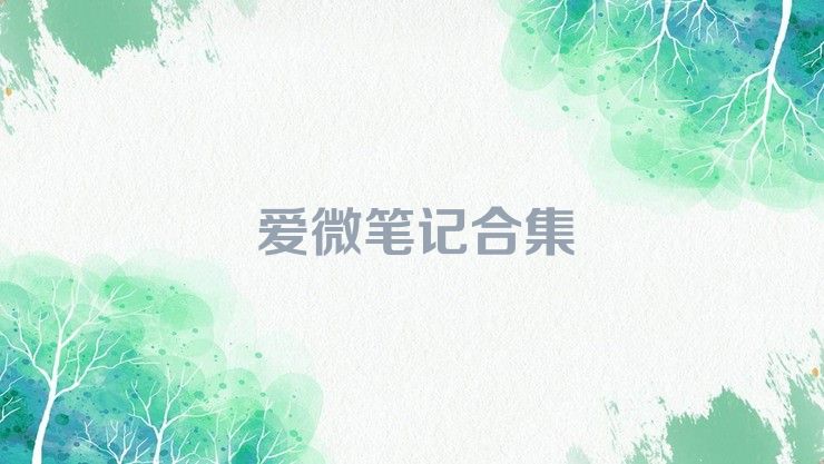 爱微笔记合集