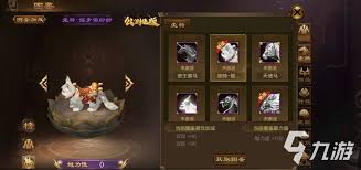 游戏中如何获得各类坐骑
