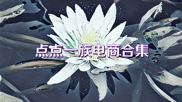 点点一族电商合集