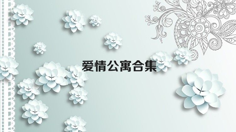 爱情公寓合集